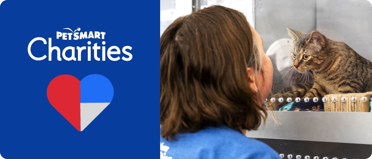 petsmart shop online