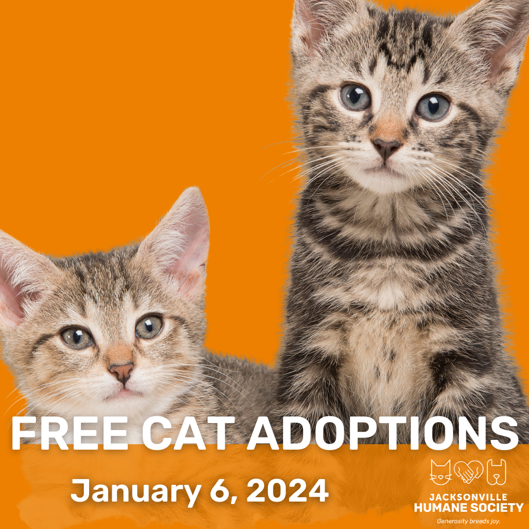 free cat sanctuary near me