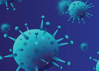 hunterdon healthcare portal