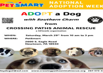 petsmart green bay adoption