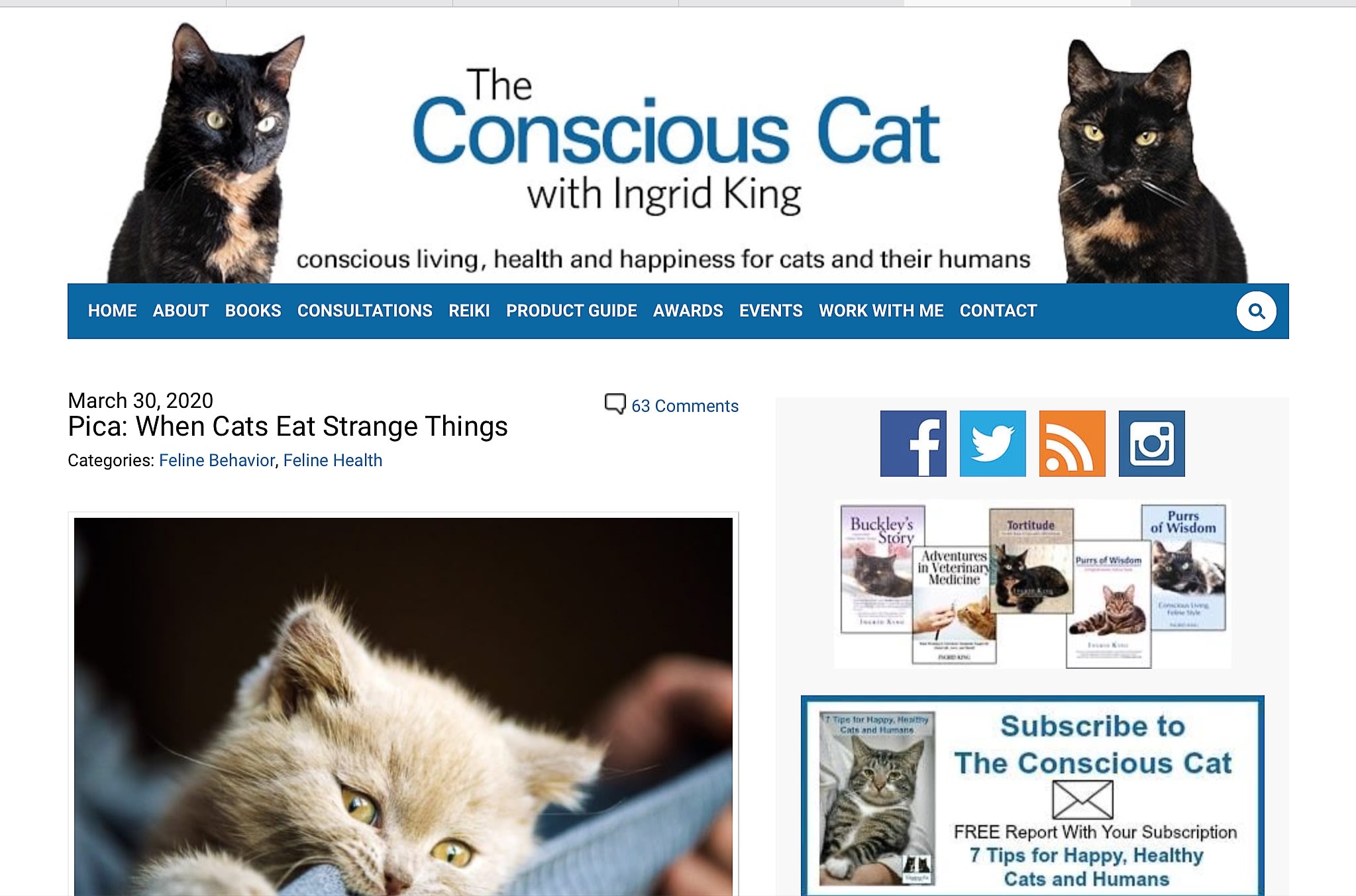 websites about cats