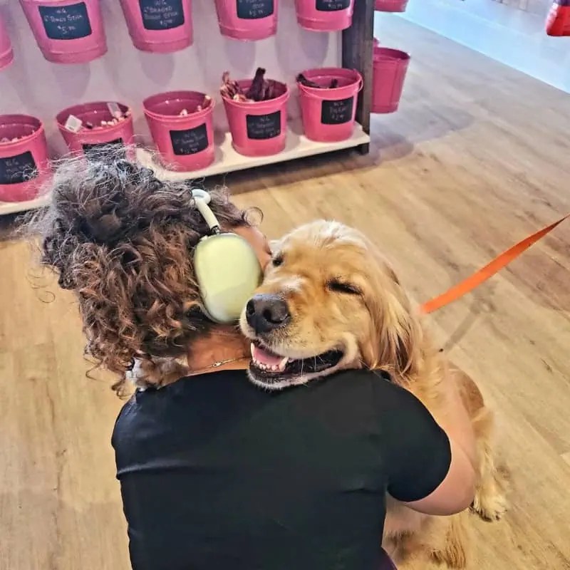 dog grooming englewood nj