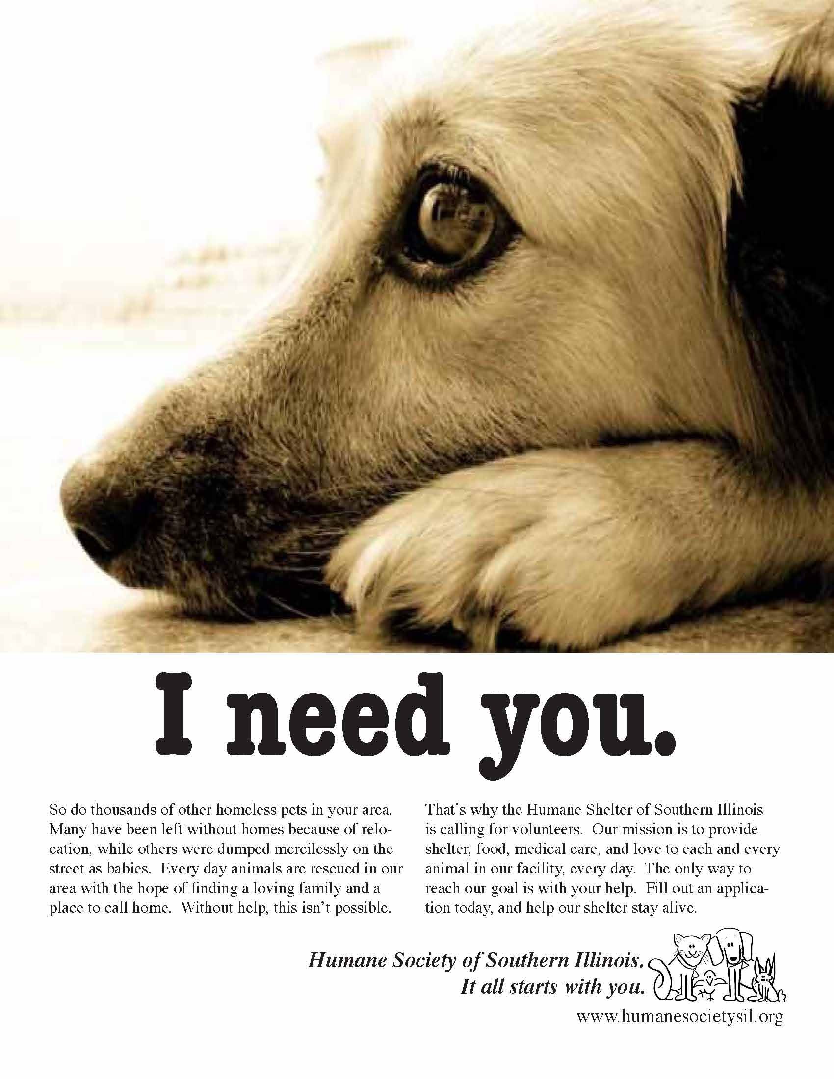 dog shelter ads