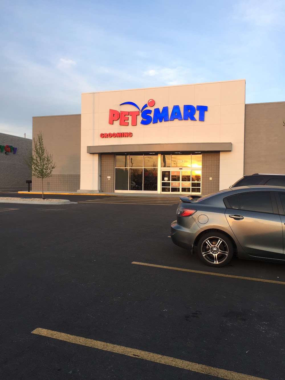 products offered by petsmart springfield