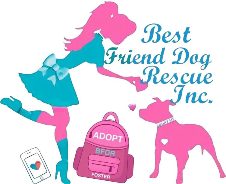 best friends dog rescue