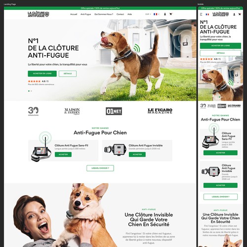 cool dog websites