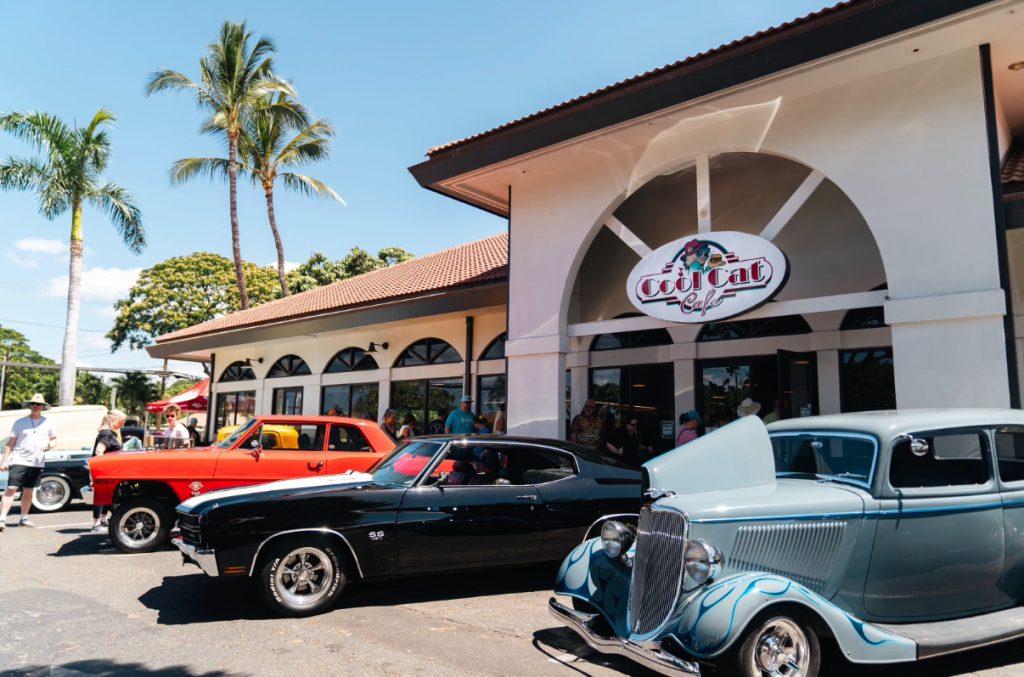 cool cats maui