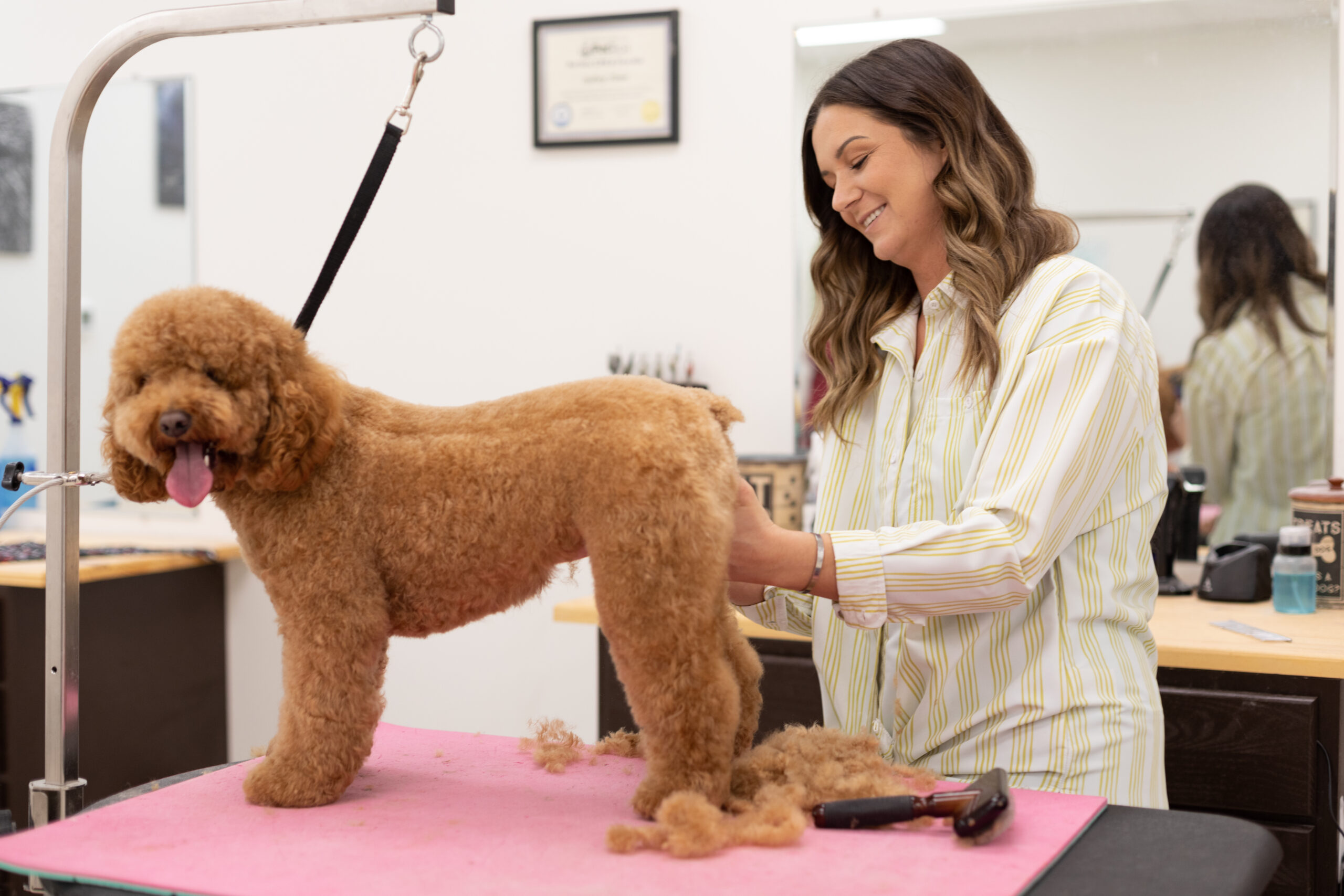 goldendoodle groomer