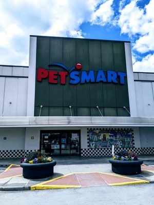 petsmart s shepherd
