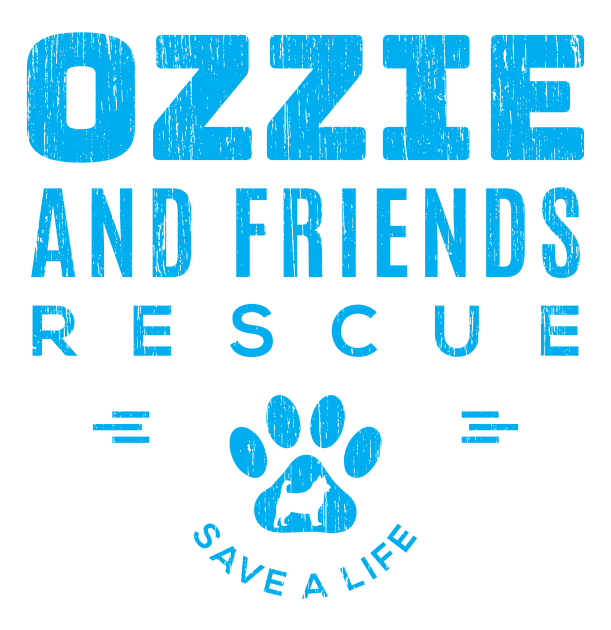 aussie friends rescue