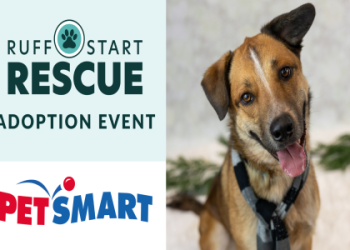 petsmart north fayette