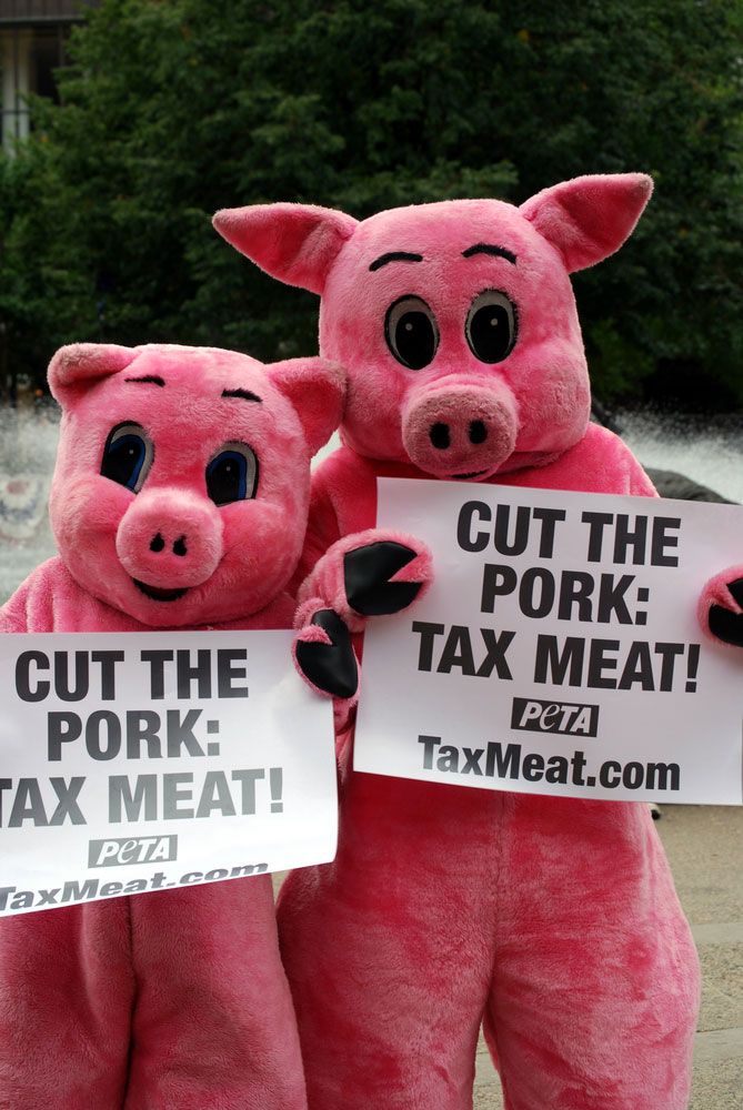 what is the peta organization