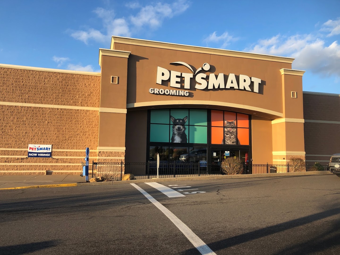 petsmart ny