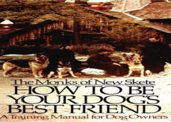 your dogs best friend