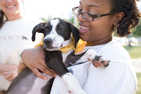 pet adoption in chicago