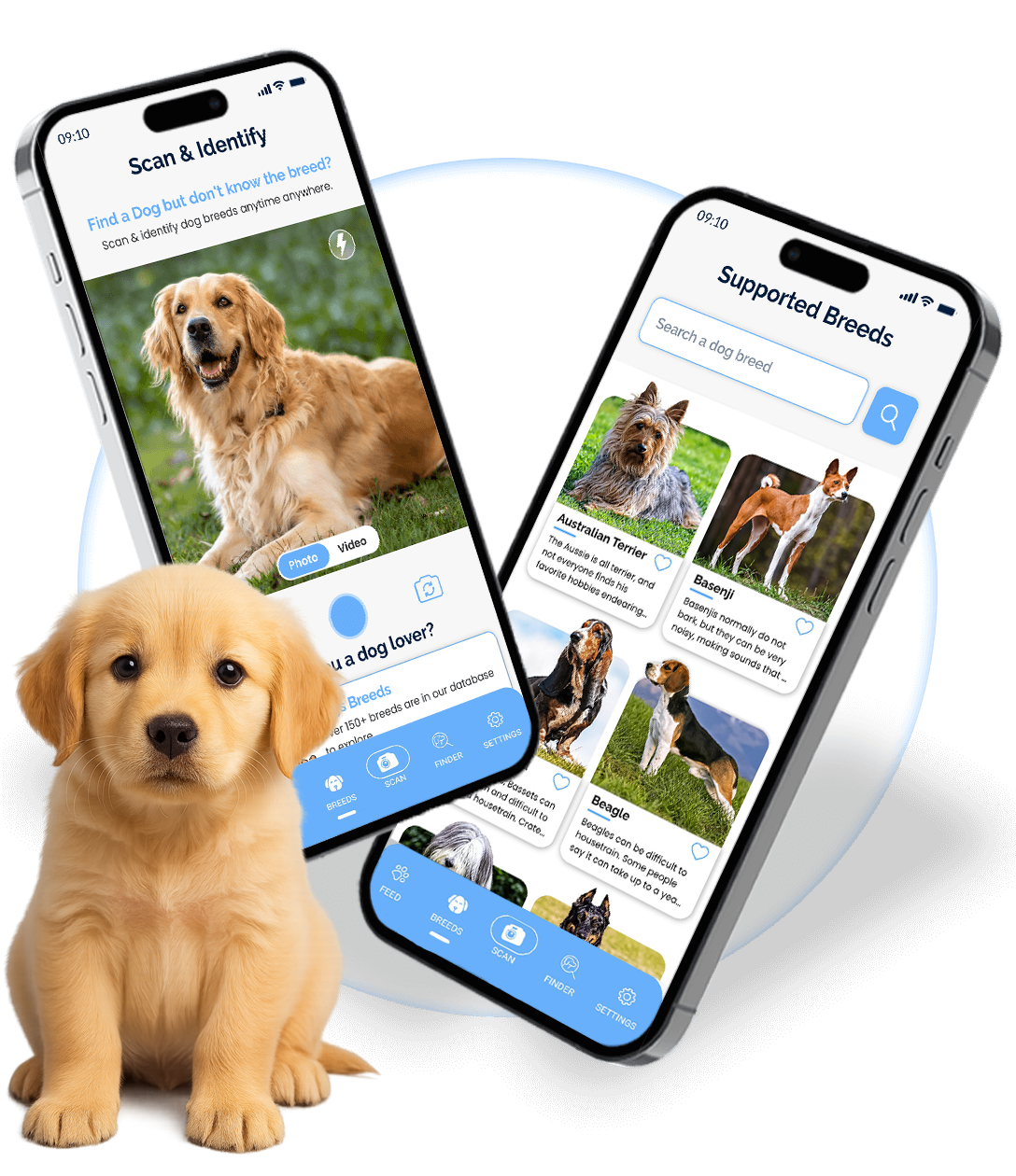 dog breed search engine