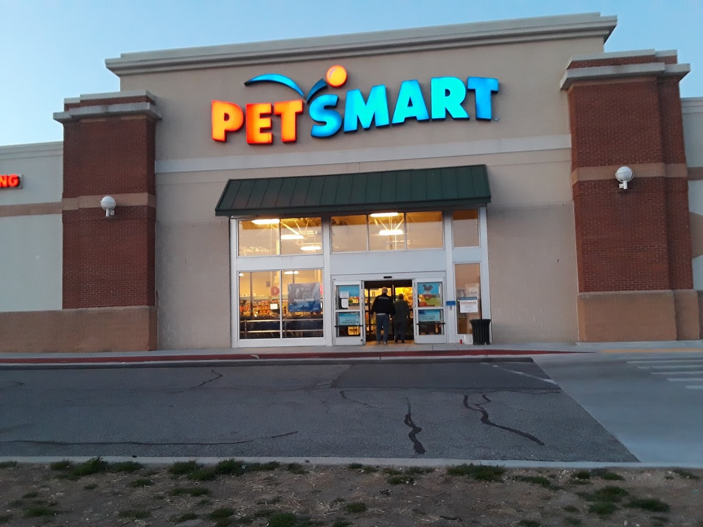 petsmart in springfield pa