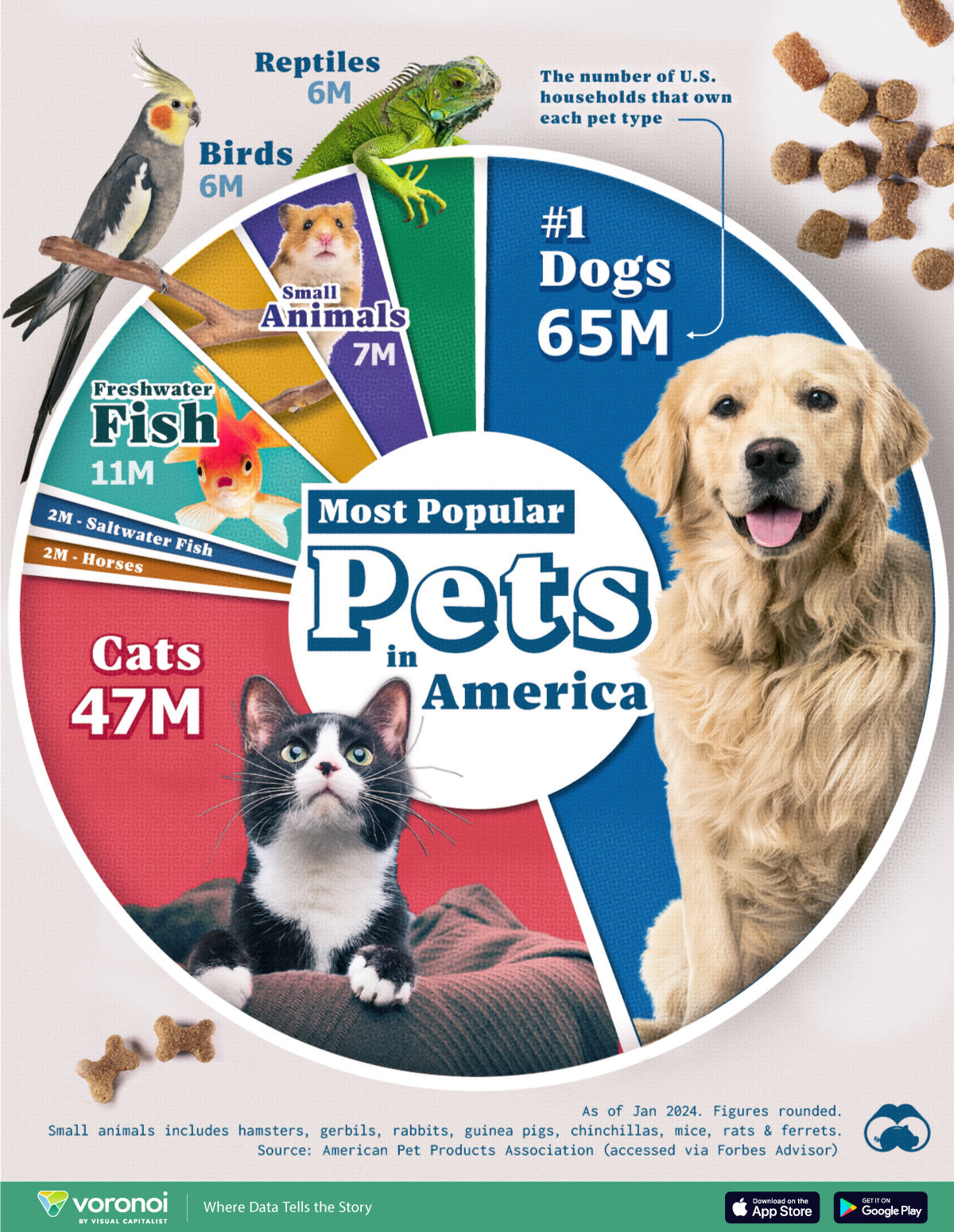 us pet