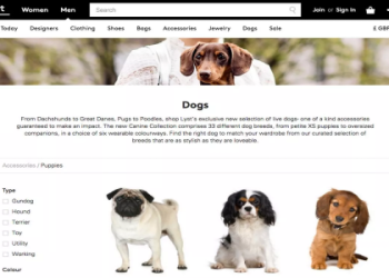 dog for sale websites