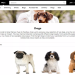 dog for sale websites