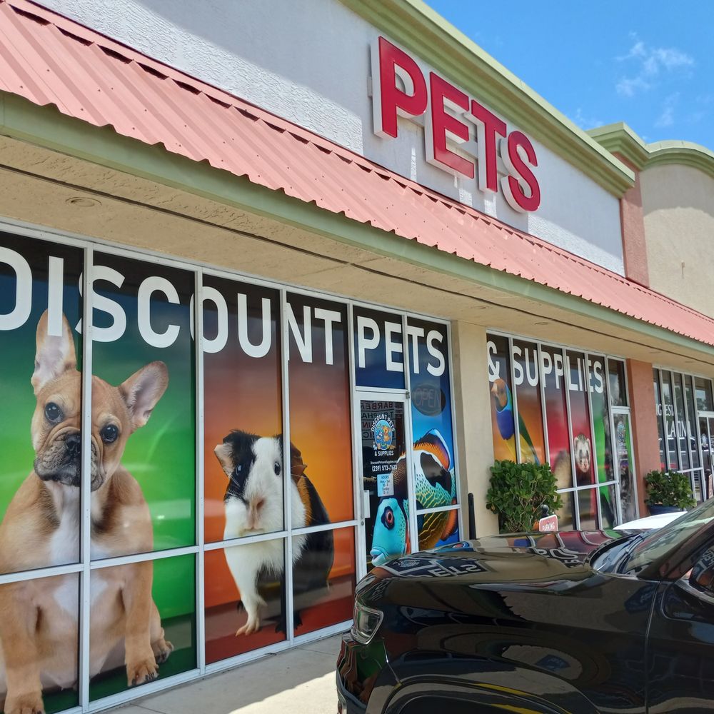 store for dogs near me