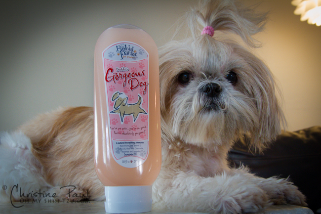 shih tzu hair care products