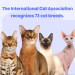 best cats breeds
