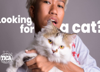 dog and cat breeders