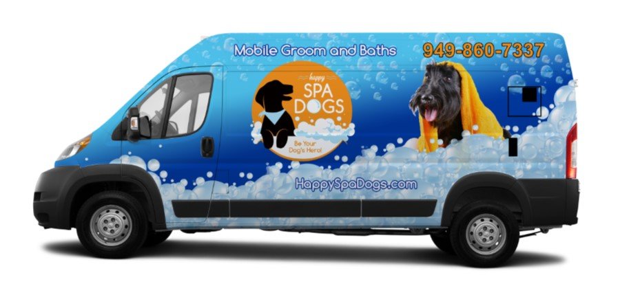 dog groomer newport