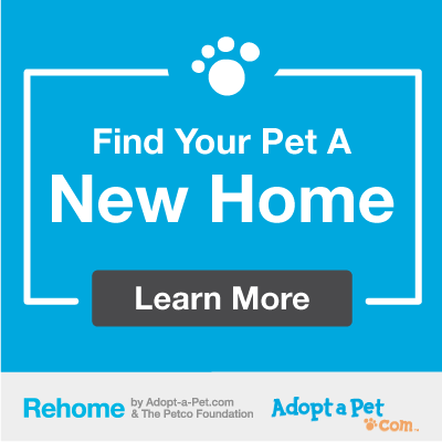 adopt a pet rehoming