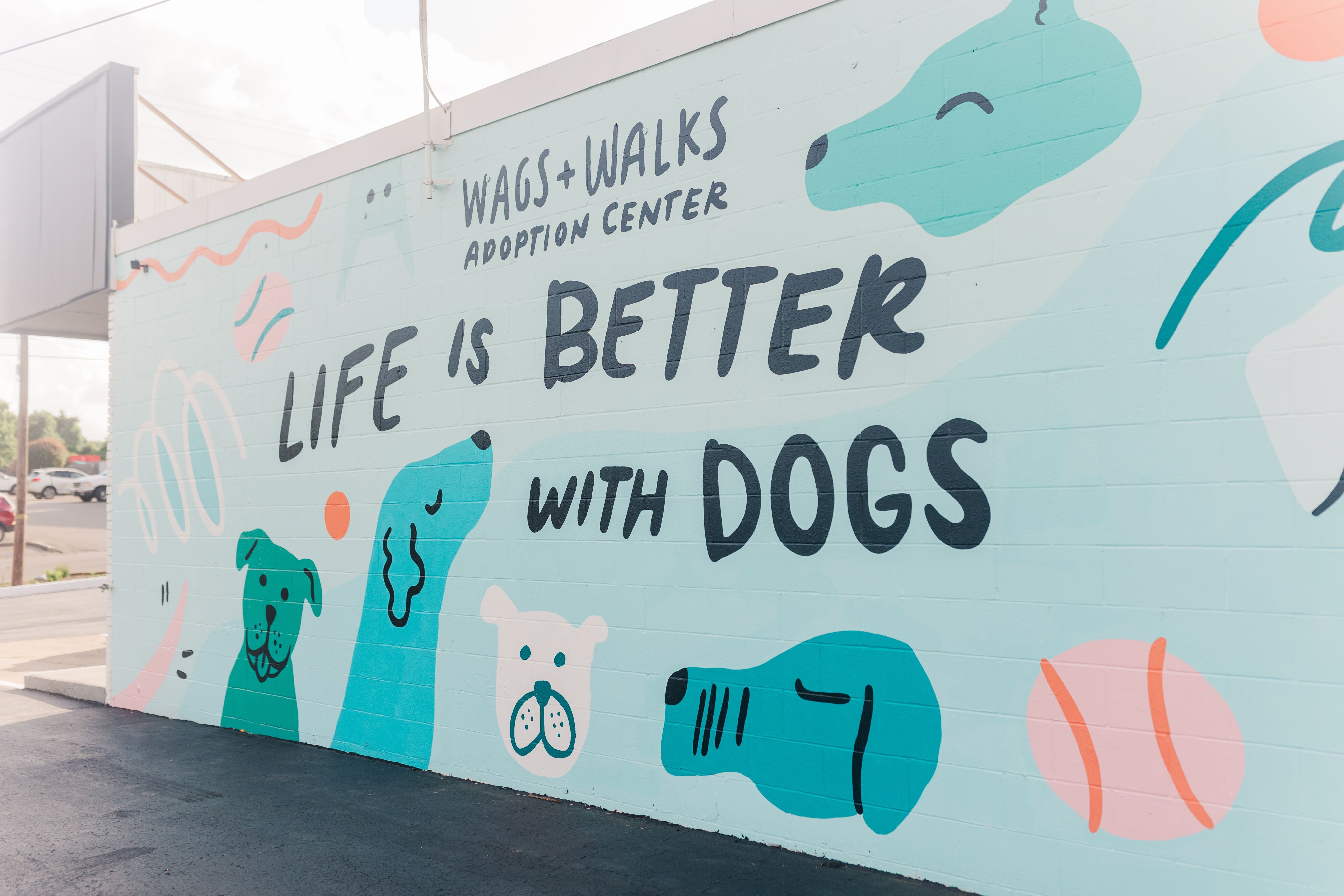 wags and walks adoption center