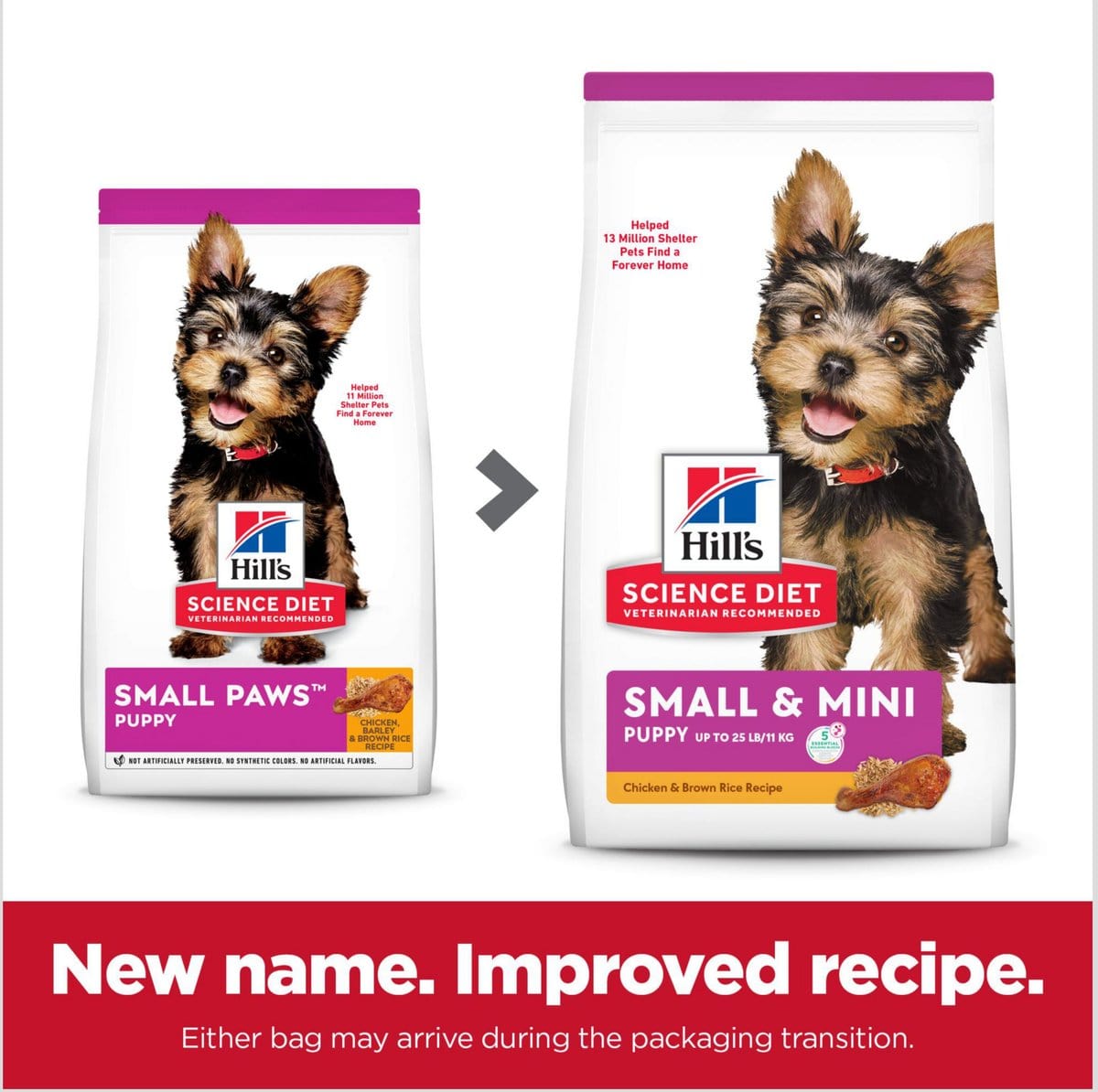 best puppy small breed food