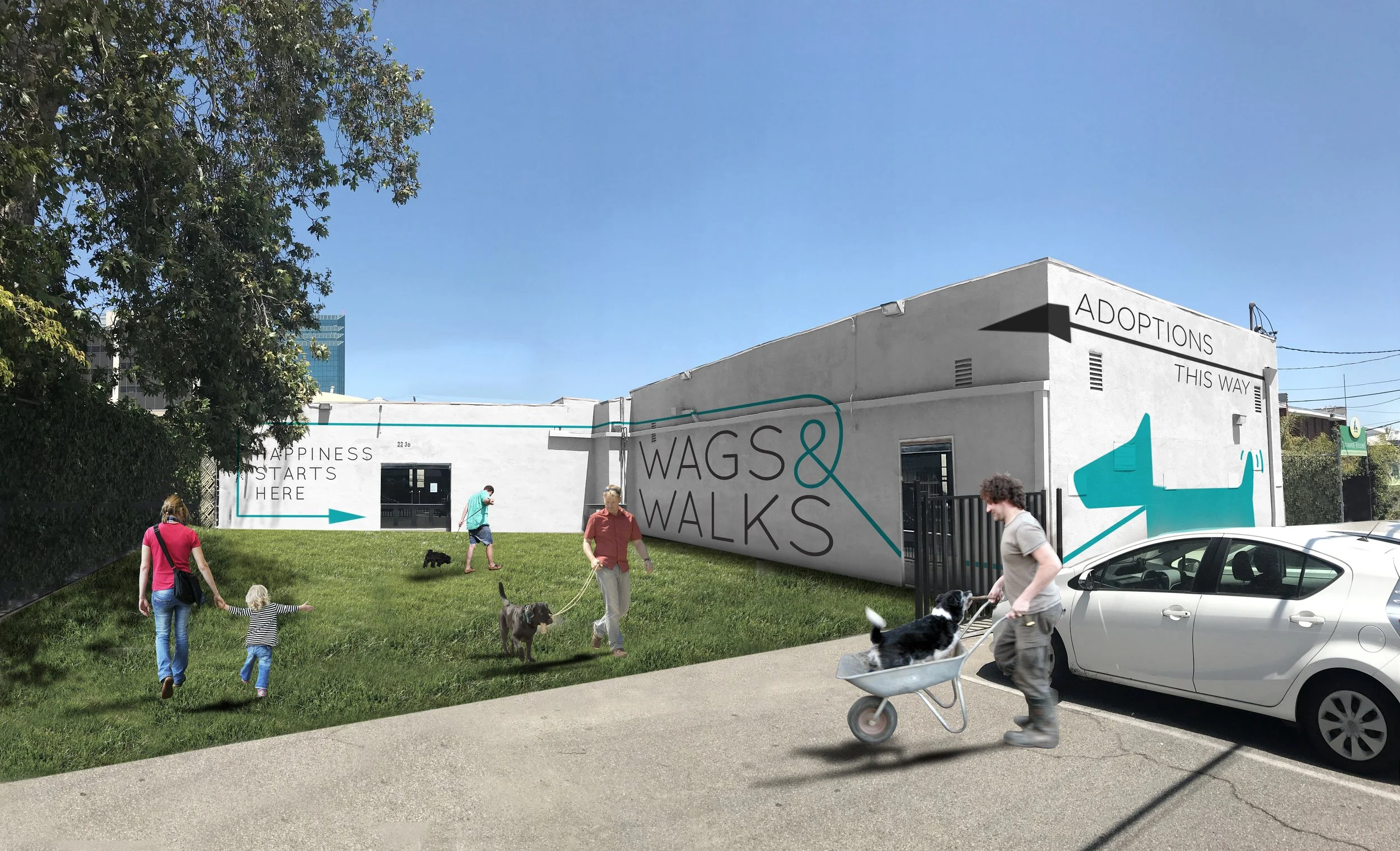 wags and walks adoption center