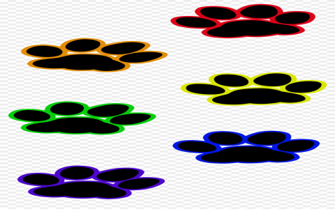 paw print png