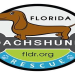 south florida dachshund