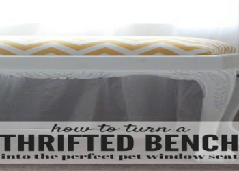 dog platform to look out window