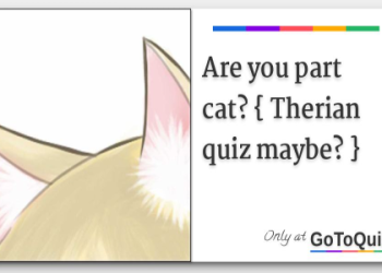 cat quiz