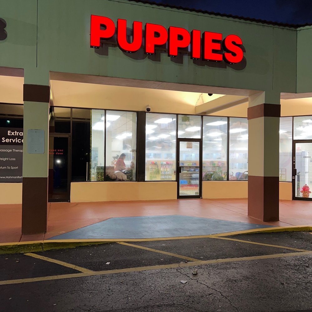 puppy store florida