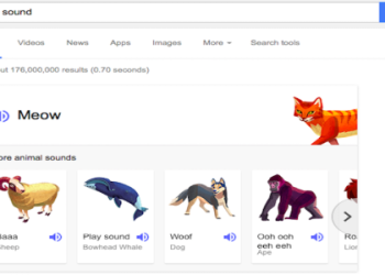google for pets