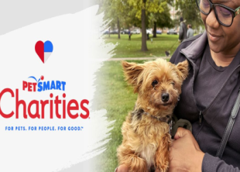 petsmart kitten adoption fee