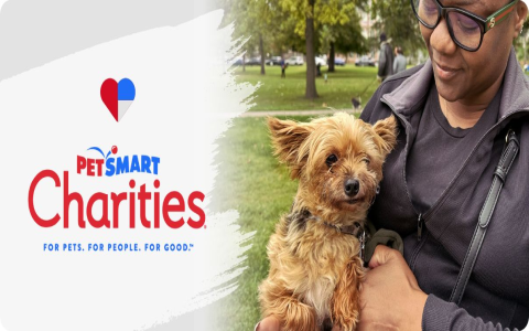 petsmart kitten adoption fee