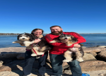 bernedoodle ohio breeders