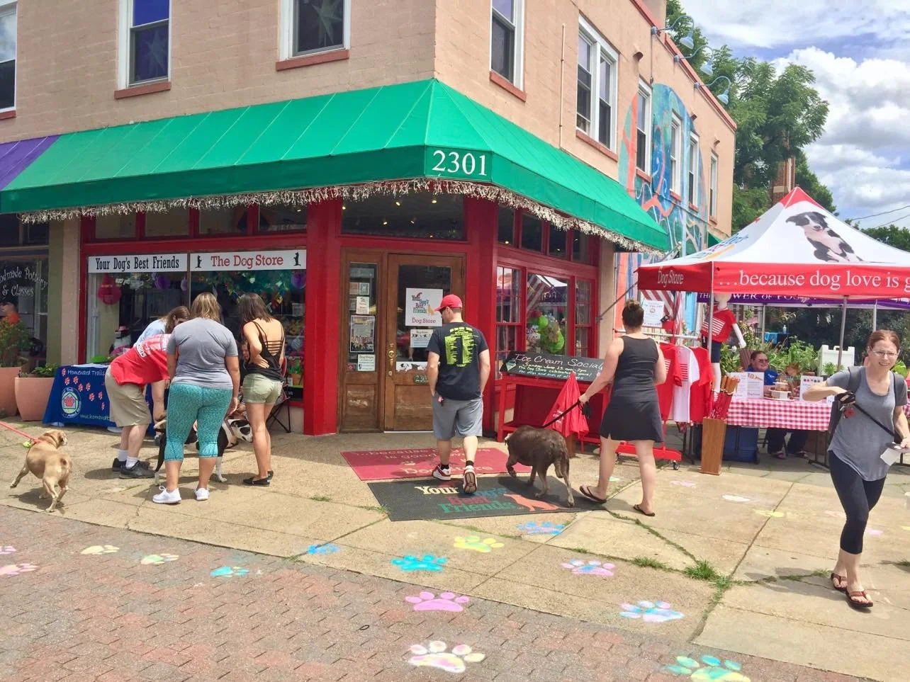 your dogs best friend