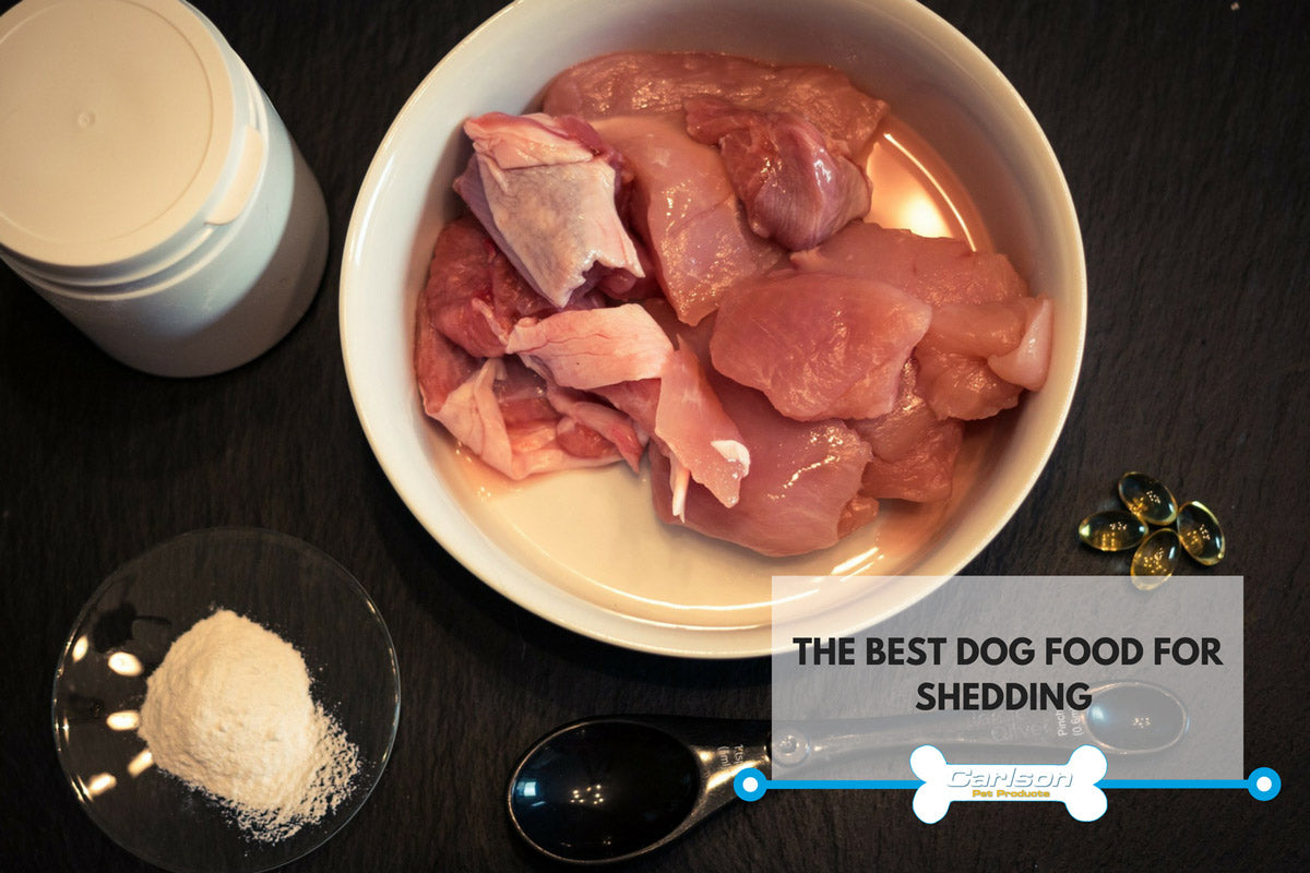 best food for shedding dogs