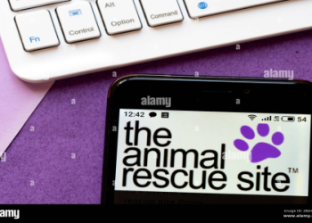 the animal rescue site by greater good