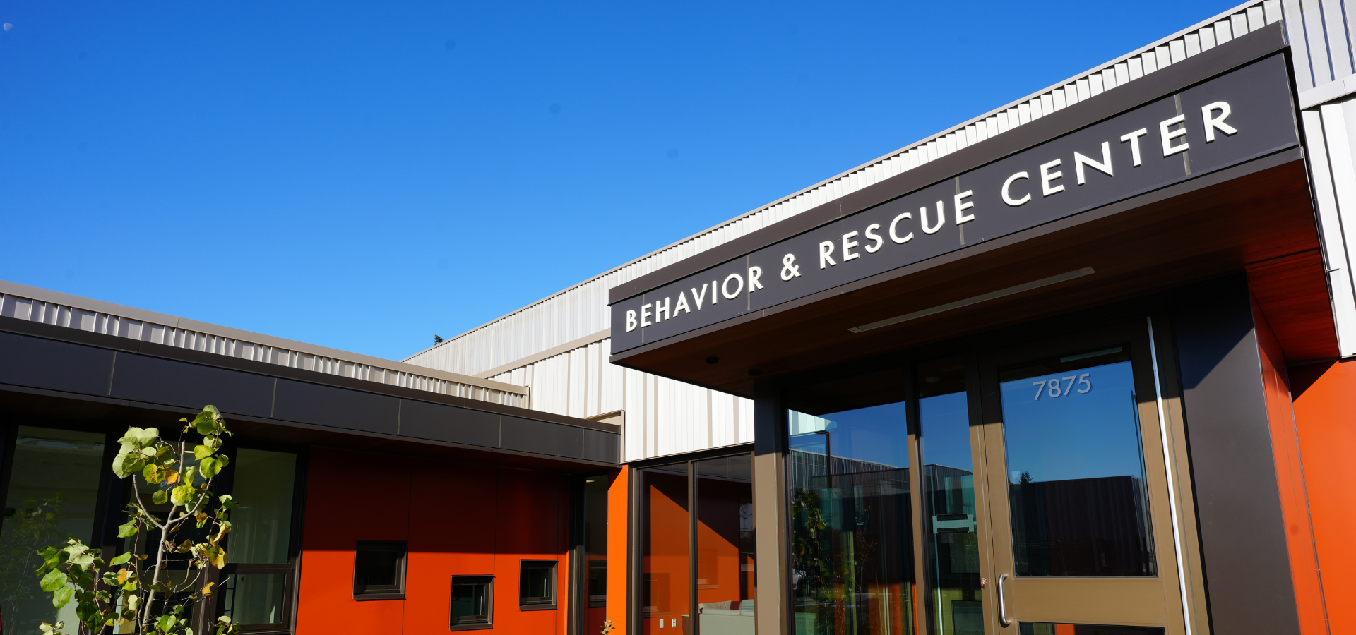 rescue centers