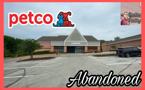 petco chester