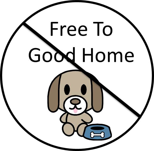 dog free to good home