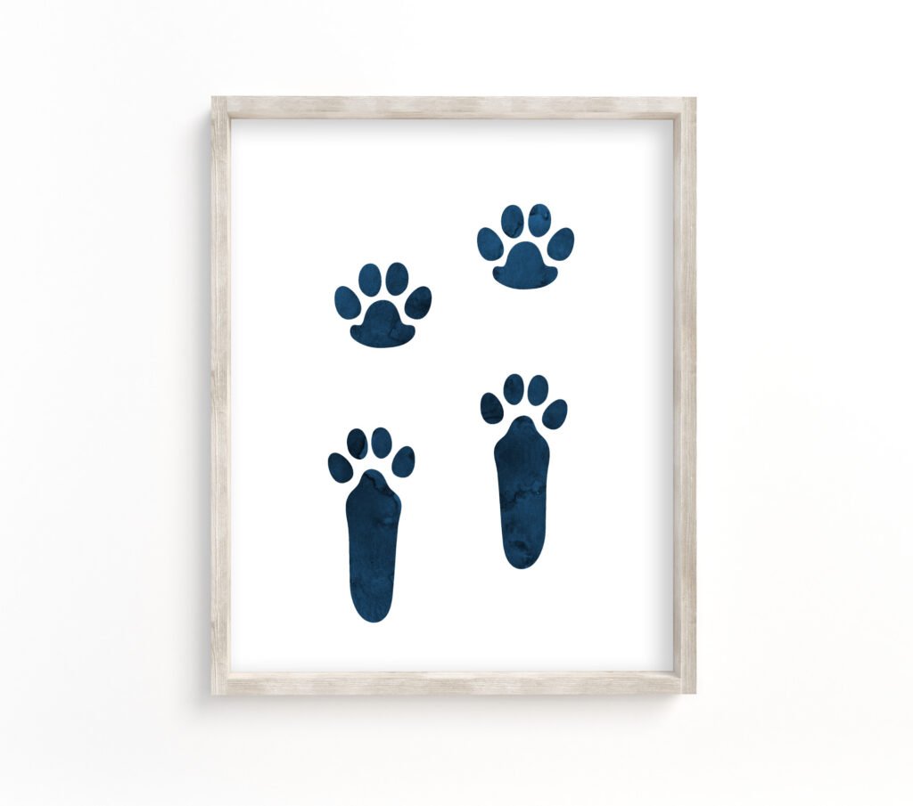 rabbit paw print