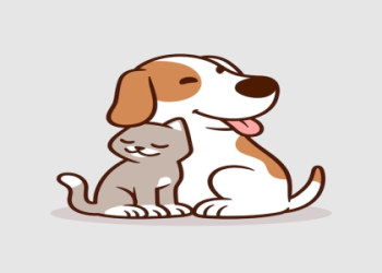 dog and cat cute